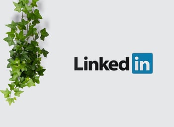31 LinkedIn Profile Tips for Job Seekers